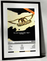 Aerosmith Get a Grip Coca - Cola Star Lake Amphitheater Burgettstown 2nd July 1993 - Setlist Tour Poster - Setlist